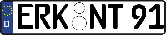 ERK-NT91