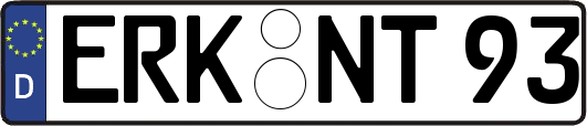 ERK-NT93