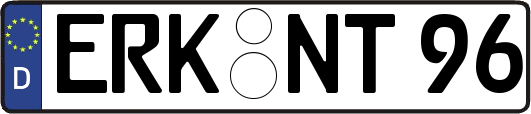 ERK-NT96