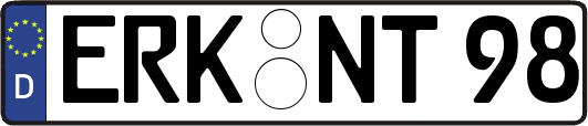 ERK-NT98