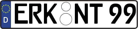 ERK-NT99