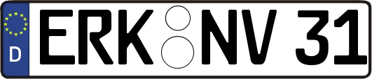 ERK-NV31