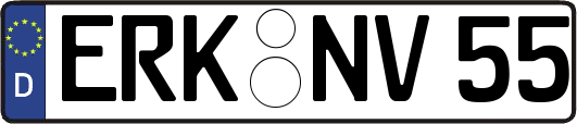 ERK-NV55
