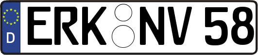 ERK-NV58