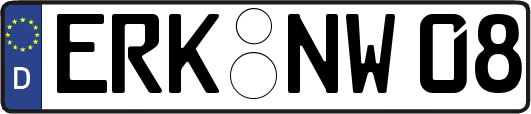 ERK-NW08