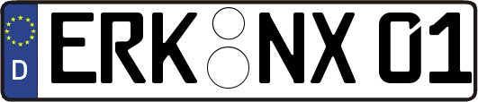 ERK-NX01