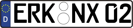 ERK-NX02
