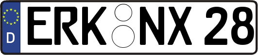 ERK-NX28