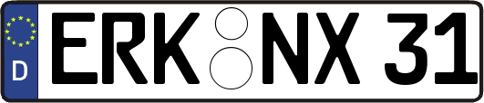 ERK-NX31