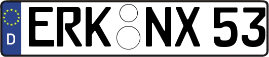 ERK-NX53