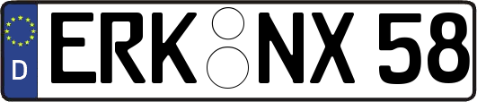 ERK-NX58