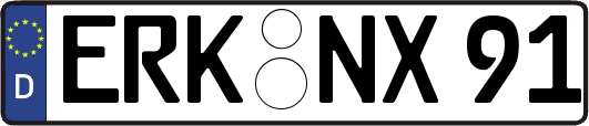 ERK-NX91