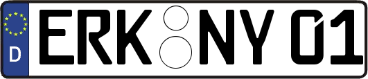 ERK-NY01