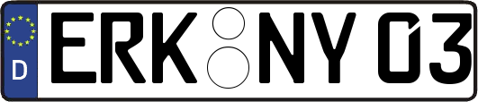 ERK-NY03
