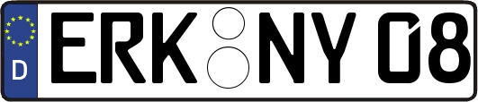 ERK-NY08