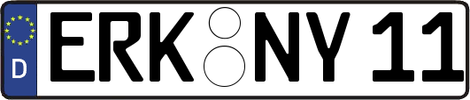 ERK-NY11