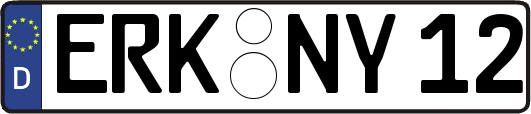ERK-NY12