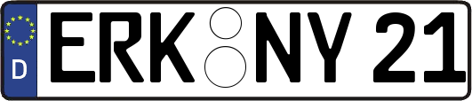 ERK-NY21