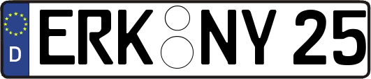 ERK-NY25