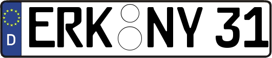 ERK-NY31
