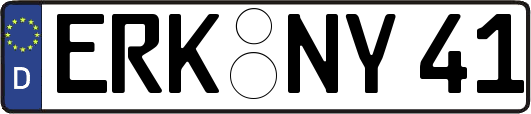 ERK-NY41