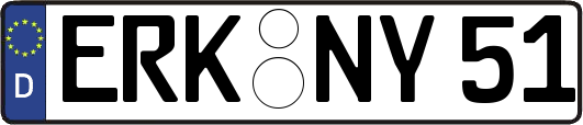 ERK-NY51