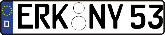 ERK-NY53