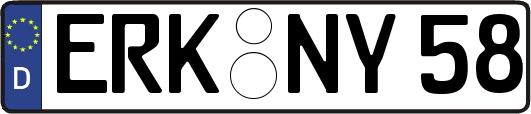 ERK-NY58