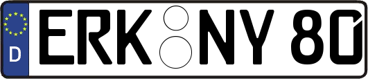 ERK-NY80