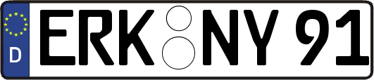 ERK-NY91