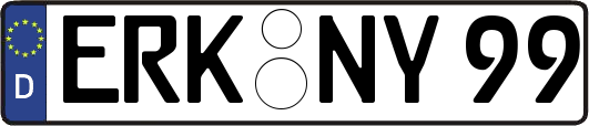 ERK-NY99