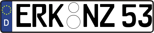 ERK-NZ53