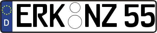 ERK-NZ55