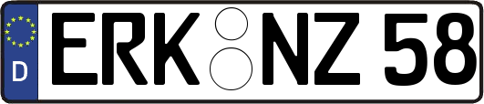 ERK-NZ58