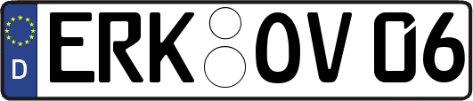 ERK-OV06