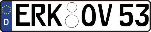ERK-OV53