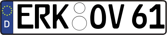 ERK-OV61