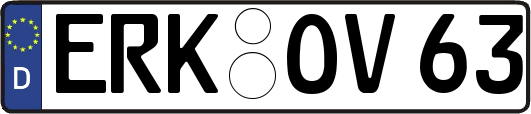 ERK-OV63