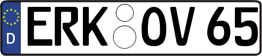 ERK-OV65