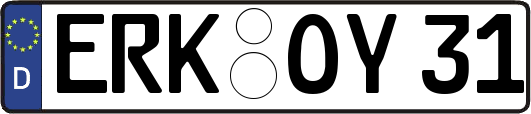 ERK-OY31