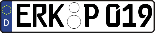 ERK-P019