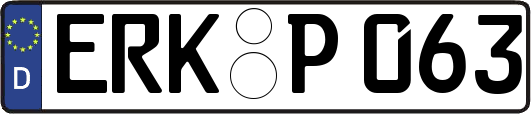 ERK-P063