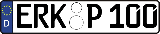 ERK-P100