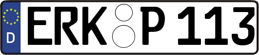 ERK-P113