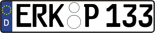 ERK-P133