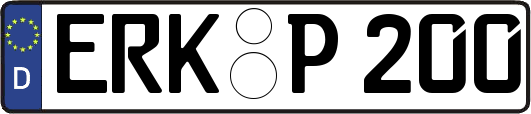 ERK-P200