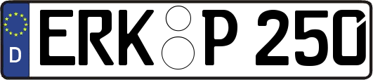 ERK-P250