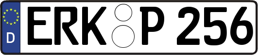 ERK-P256