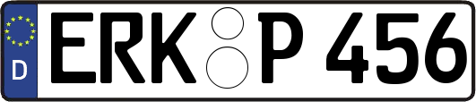 ERK-P456