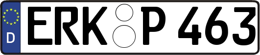 ERK-P463